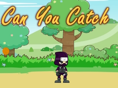 Igra Can You Catch