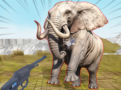 Igra Zoo Anomaly Simulation