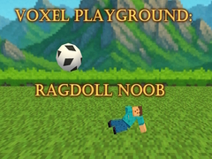 Igra Voxel Playground: Ragdoll Noob