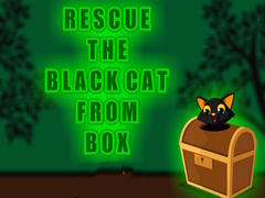 Igra Rescue the Black Cat from Box