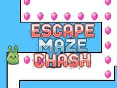Igra Escape Maze Chush