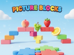 Igra Picture Blocks