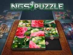Igra NGS Puzzle