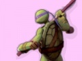 Igra Ninja Turtles Colours Memory