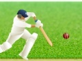 Igra Cricket Defend the Wicket!
