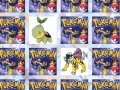 Igra Find your cards with your favorite Pokemon