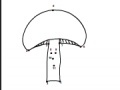 Igra Mushroom