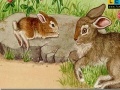 Igra Rabbits at the farm puzzle 