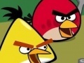 Igra Memory - Angry Birds