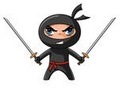Besplatne online igre ninja. Ninja igra