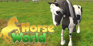 Svijet konja 